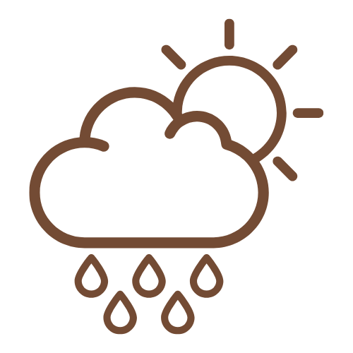 Weather