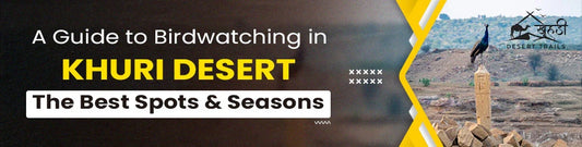 A Guide to Birdwatching in Khuri Desert: The Best Spots & Seasons